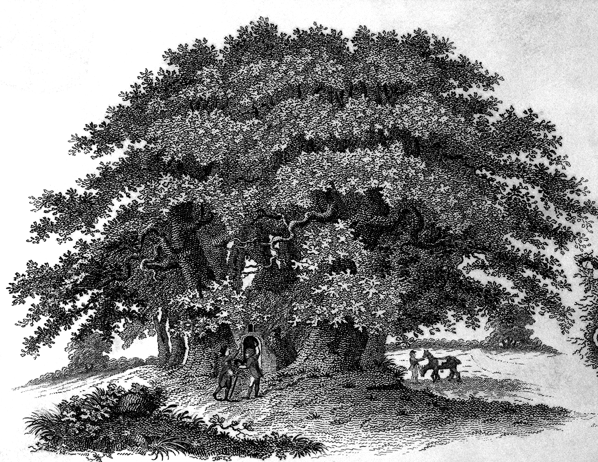 Гравюра на дереве
