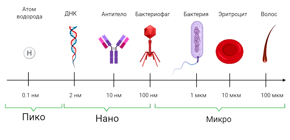 Сравнение микро. Нанотехнологии Размеры частиц. Шкала микро нано. Нанотехнологии сравнение размеров. Микро макро Размеры.