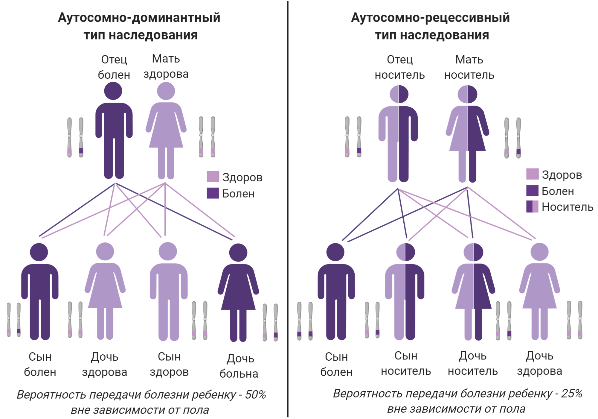 Тип наследования сахарного диабета аутосомно-рецессивный. Типы наследования аутосомно доминантный Тип наследования. Адреногенитальный синдром наследование. Аутосомно-рецессивный Тип наследования схема.