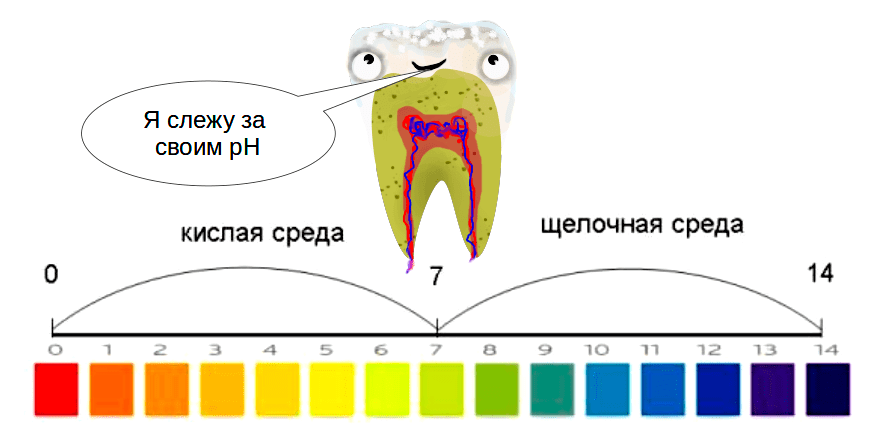 Пш у детей. Кислотно щелочной баланс полости рта. PH слюны при кариесе. PH ротовой полости. PH среда ротовой полости.
