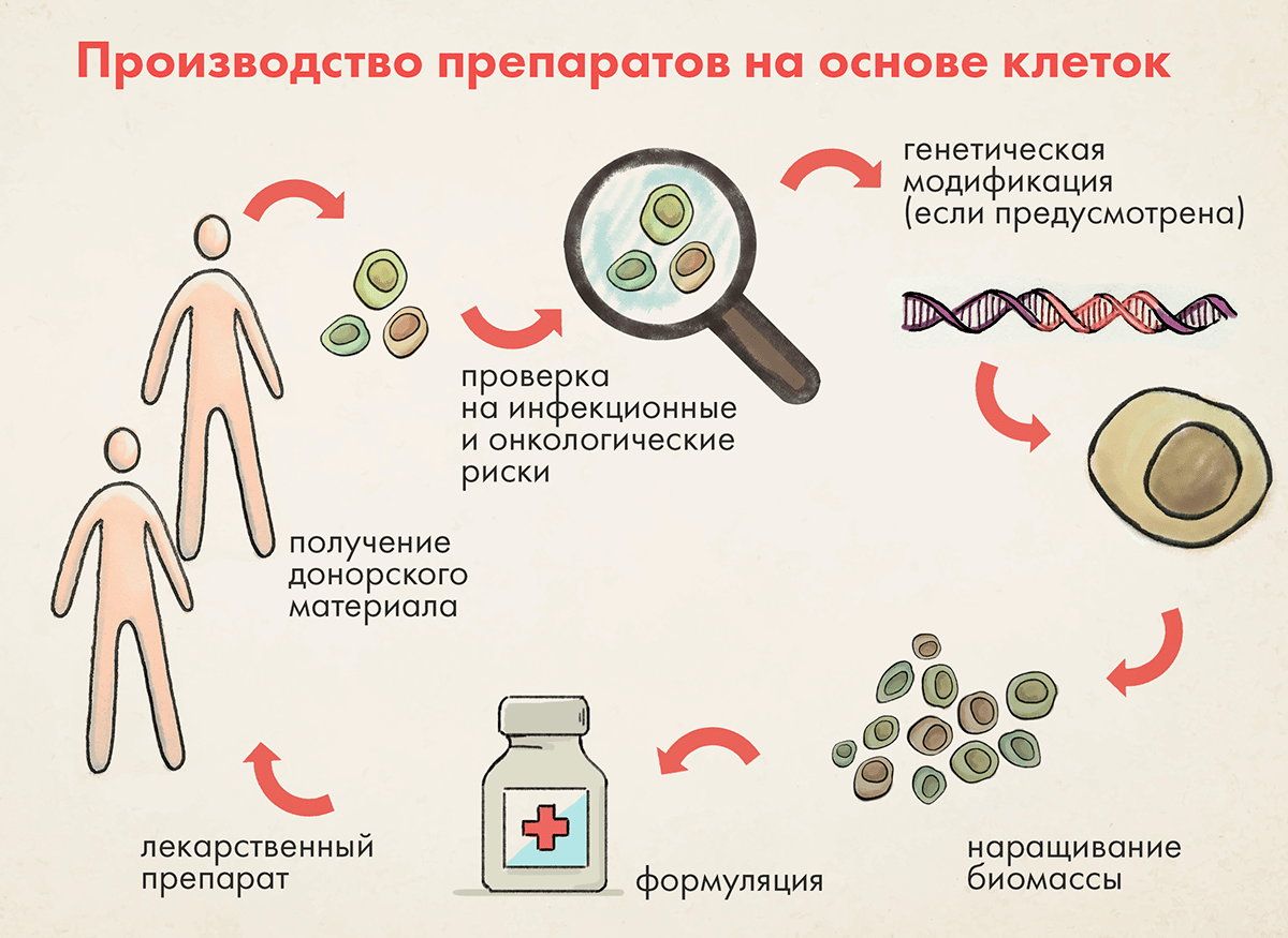 Трифитол сбор. Пептиды лекарство. Лекарство на основе клеток. Иммунопротекторы препараты. Биомедицинские клеточные продукты.