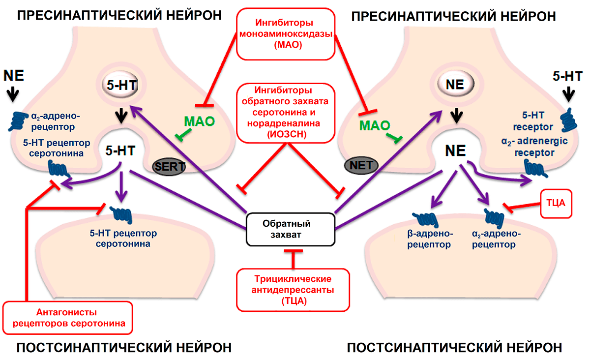 От каких антидепрессантов худеют